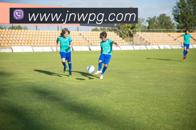 App Interface Preview